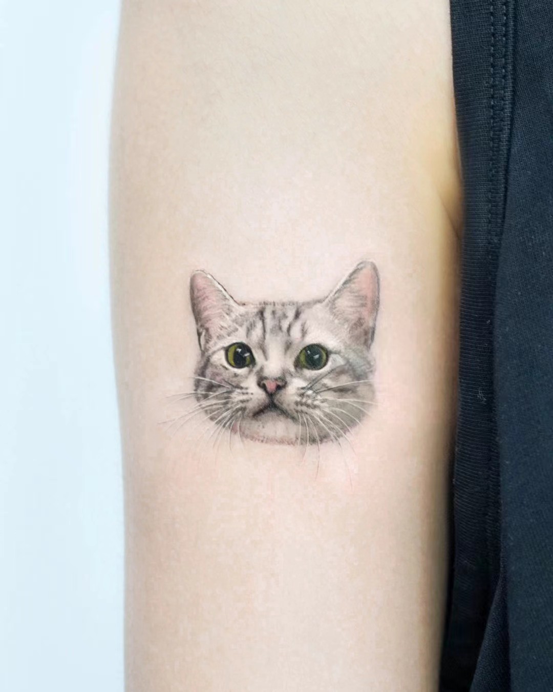 Fine colour cat portrait tattoo on an arm
