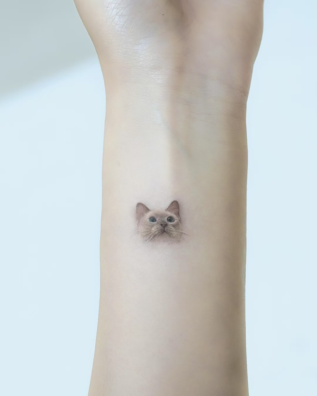Tiny cat portrait tattoo above the wrist
