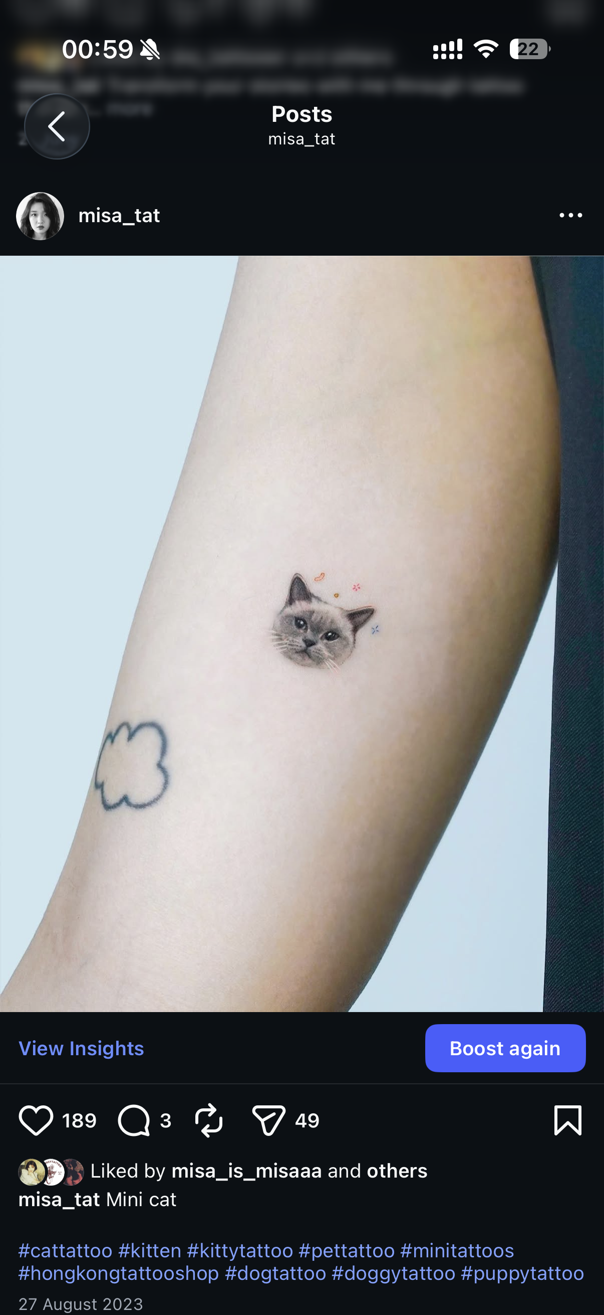 Small cat tattoo on forearm shown in an Instagram story
